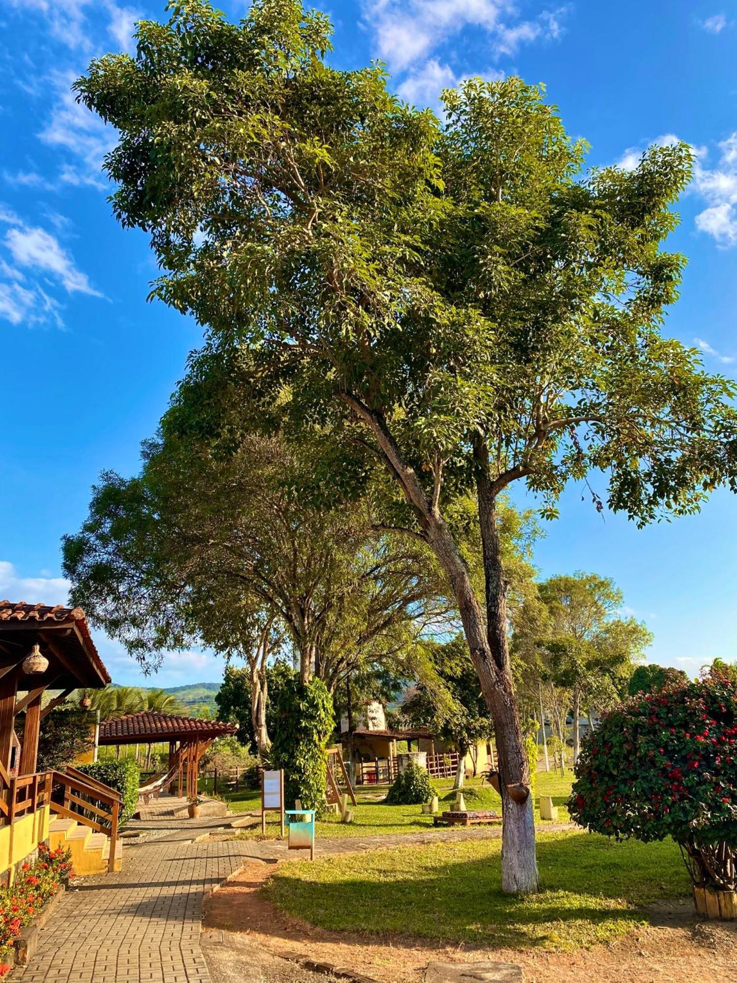 Bonito Plaza Hotel Buitenkant foto